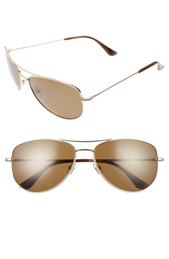 Kate Spade 'ally' 60mm Polarized Metal Aviator Sunglasses In Gold Brown  Polarized | ModeSens