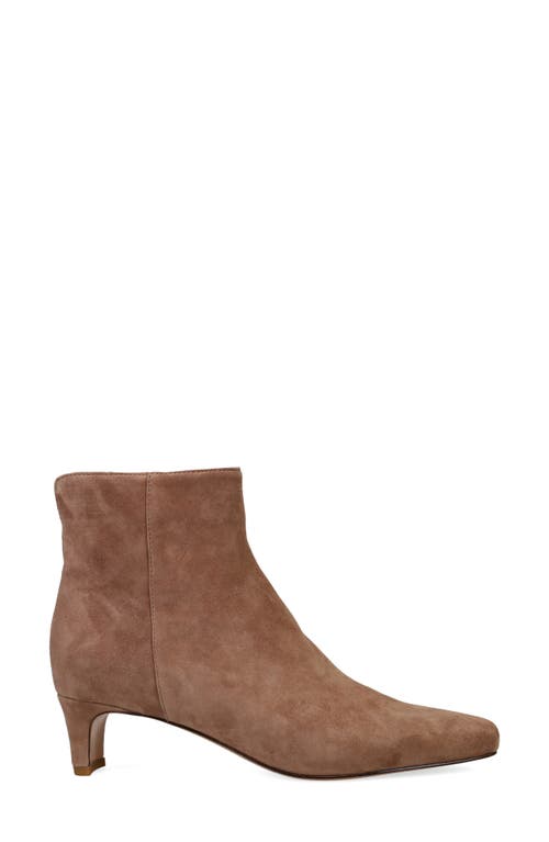 Pelle Moda Galia 2 Bootie In Taupe