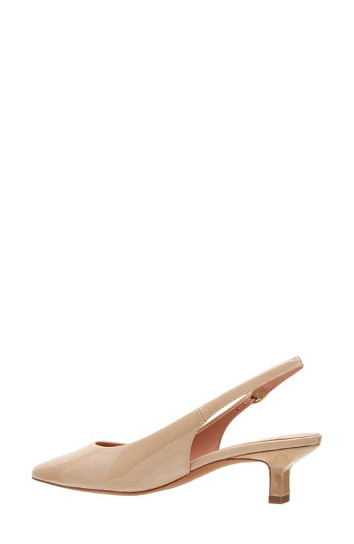 Linea Paolo Cecil Slingback Pointed Toe Kitten Heel Pump In Blush Taupe