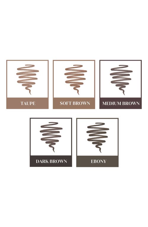 Anastasia Beverly Hills Fuller Looking & Feathered Brow Kit Usd $44 Value In Medium Brown
