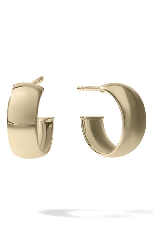 Lana Wide Huggie Hoop Earrings in Yellow Gold at Nordstrom