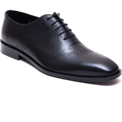 Jared Lang Buffer Plain Toe Oxford, Black