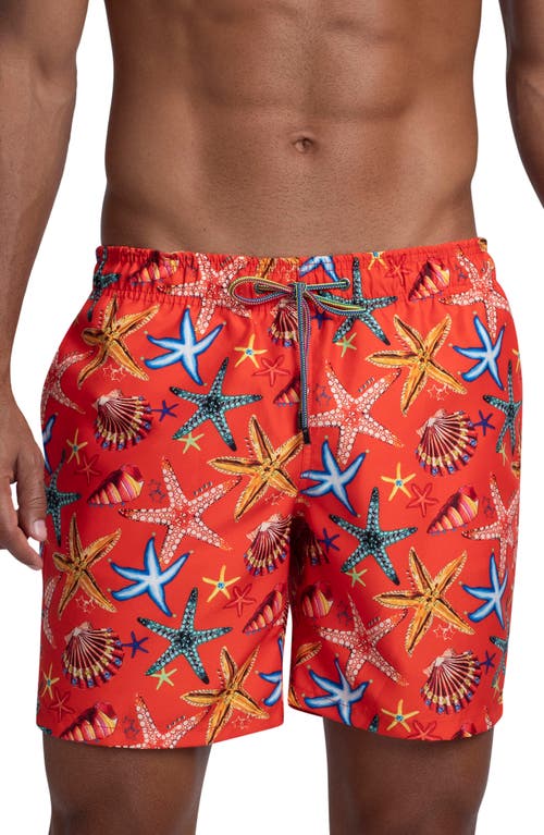 Shop Bugatchi Starfish Shell Print Swim Trunks In Tangerine