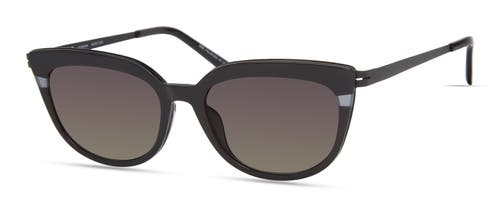 Modo 469 Sunglasses In Black