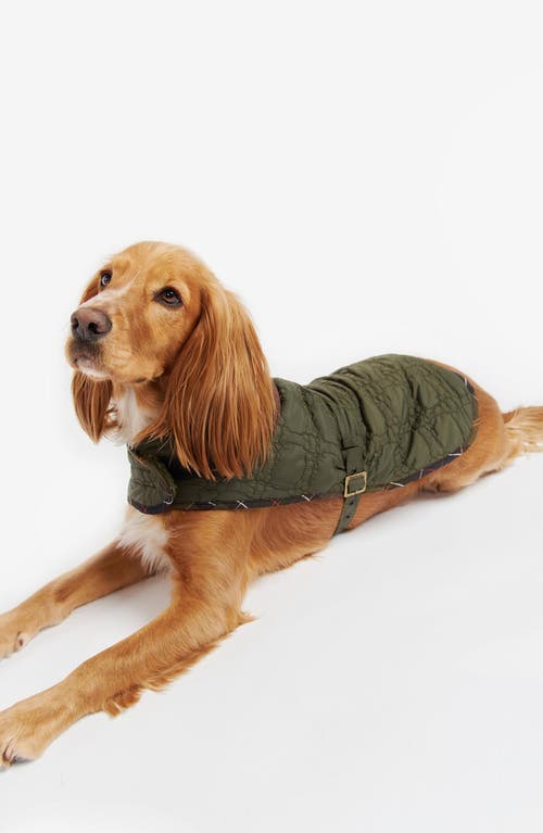 Shop Barbour Bone Quilted Dog Jacket In Dark Olive