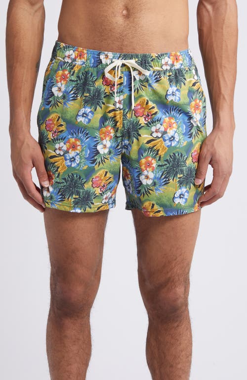 The Bungalow Swim Trunks in Green 3D Vintage Tropical