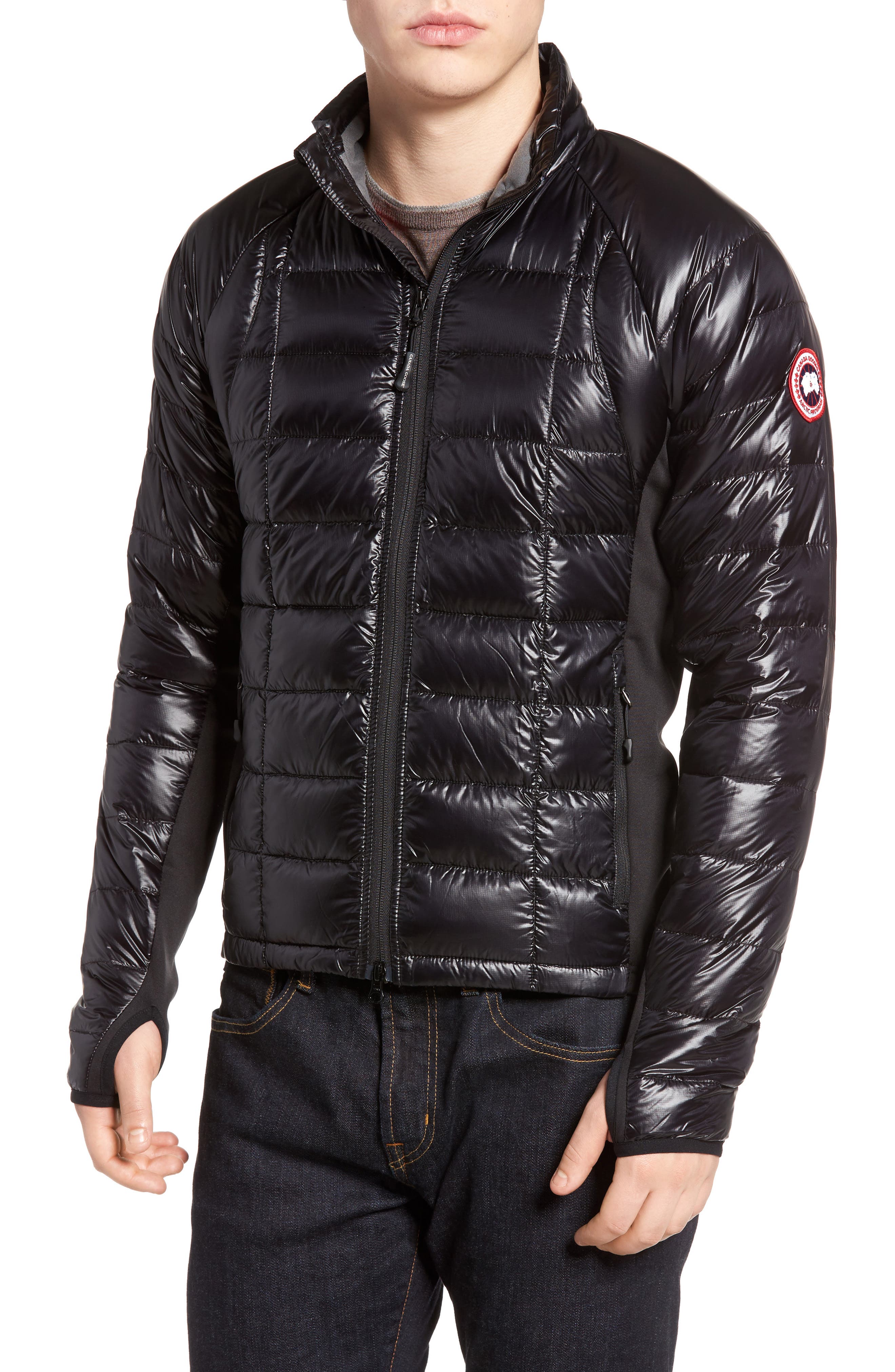 Canada Goose