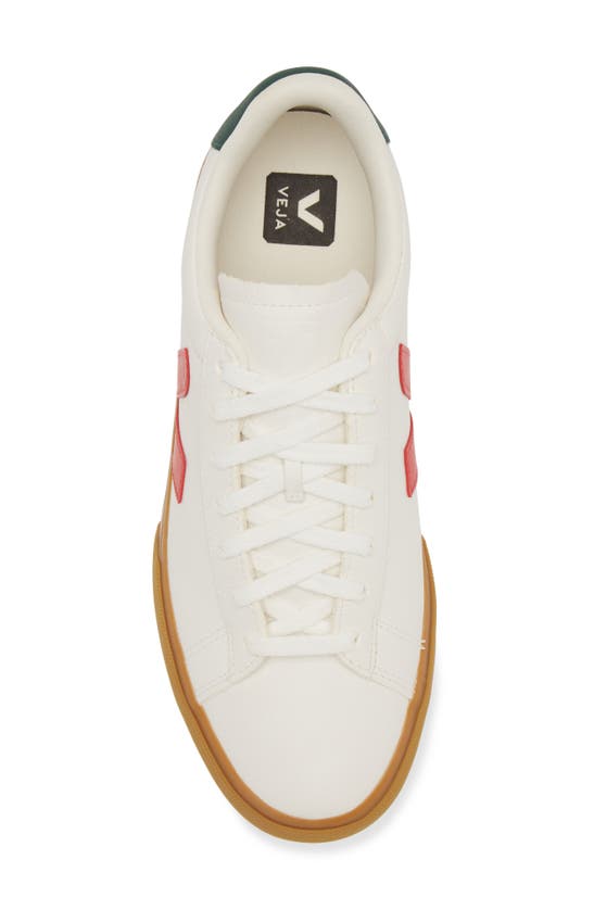 Veja Campo White Low Top Sneakers With Logo Detail In Leather Man In White