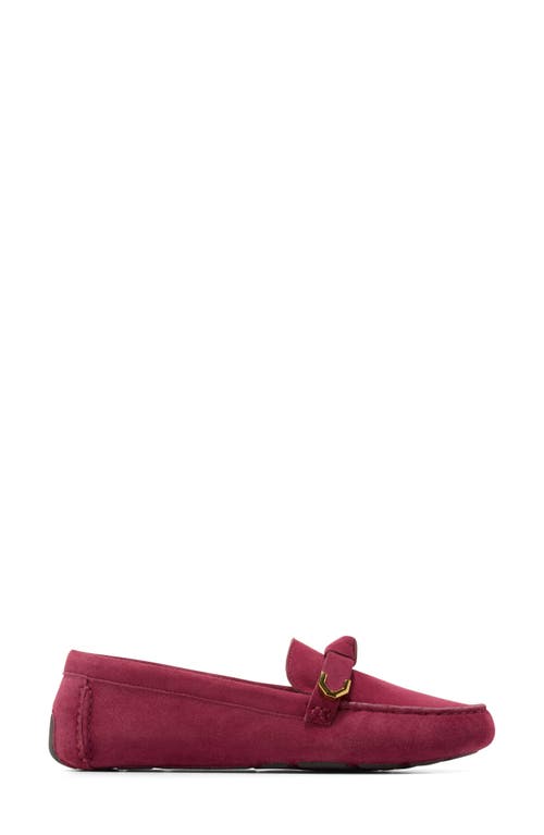 COLE HAAN COLE HAAN EVELYN BOW LOAFER