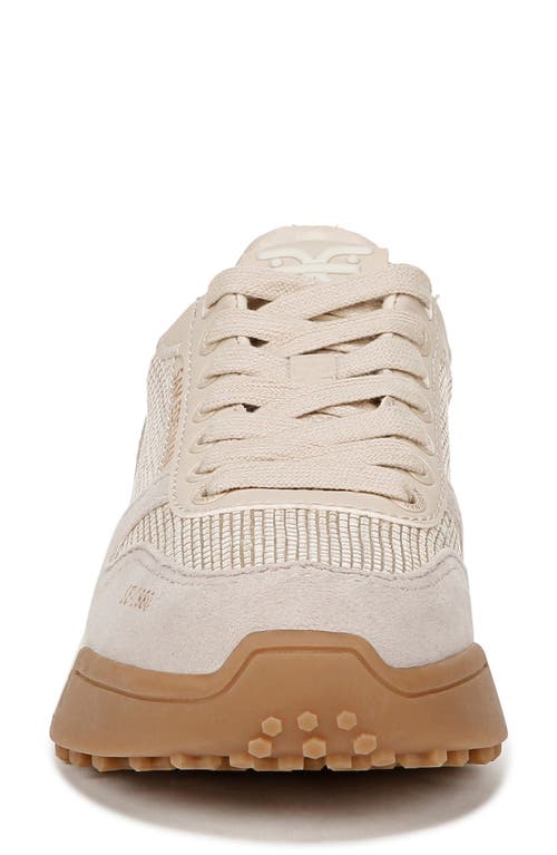 Shop Sam Edelman Layla Sneaker In Limestone/light Natural