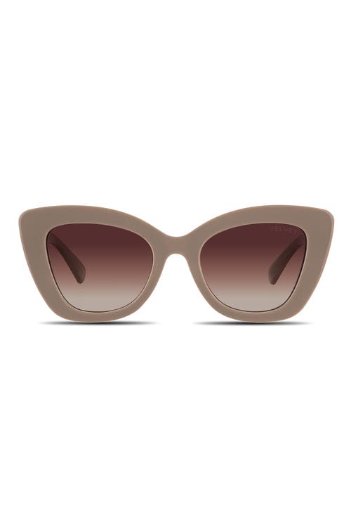 Velvet Eyewear Maya Sunglasses In Brown