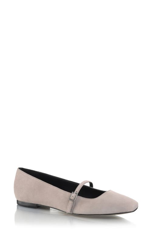 Shop Marion Parke Mary Jane Ballet Flat In Stone