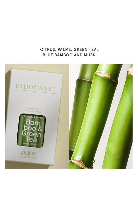 Shop Pura X Paddywax Bamboo & Green Tea 2-pack Diffuser Fragrance Refills In Bamboo Green Tea