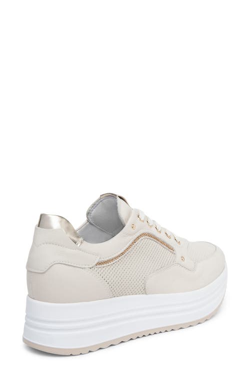 Shop Nerogiardini Perfed Platform Sneaker In Beige/khaki