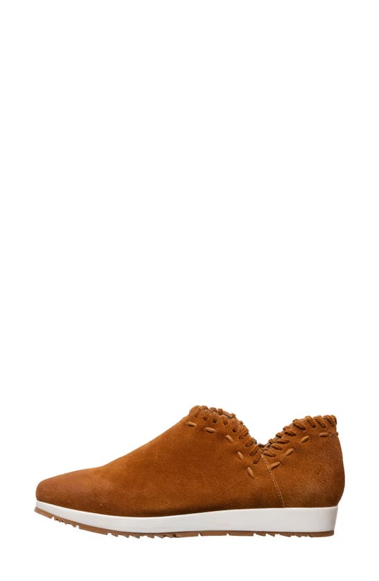 Antelope Scotty Slip-on Sneaker In Suede