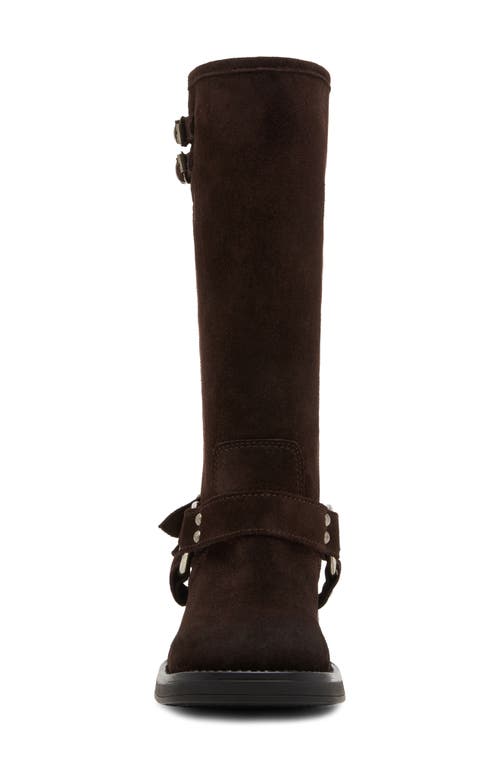 Steve Madden Astor Knee High Moto Boot In Brown Sued