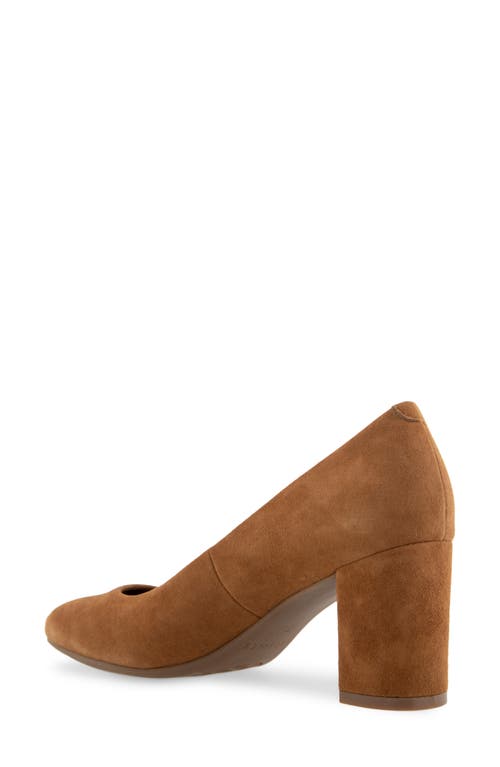 AEROSOLES AEROSOLES EBEL BLOCK HEEL PUMP