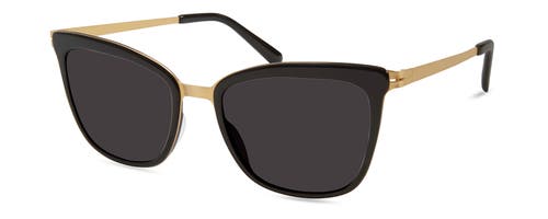 Modo 450 Sunglasses In Black Gold