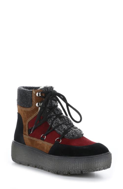 Bos. & Co. Ideal Waterproof Leather & Genuine Shearling Boot in Black/Camel/Sangria