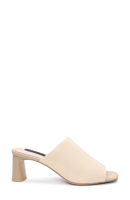 Shop Sanctuary Behold Slide Sandal In Milk/birch