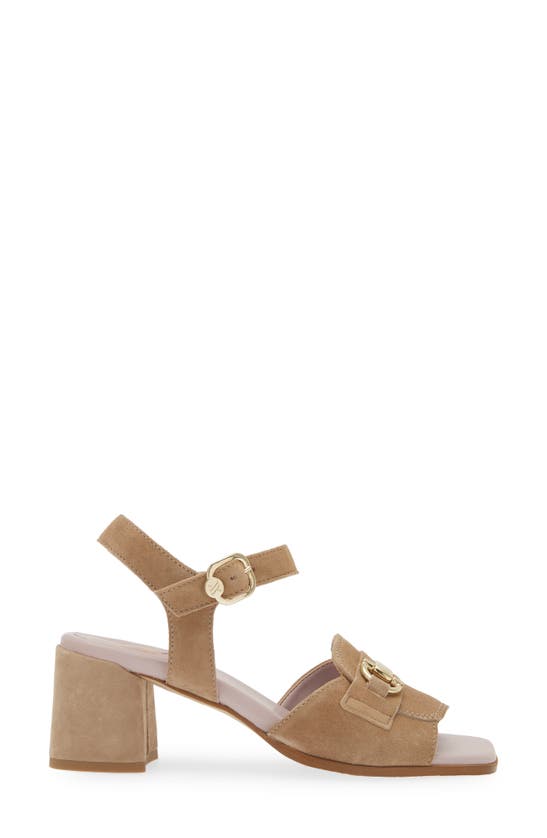 Shop The Flexx Felicia Ankle Strap Sandal In Tortora