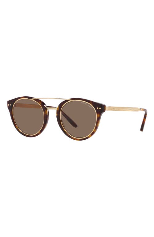 Shop Ralph Lauren 49mm Round Sunglasses In Dark Havana/brown