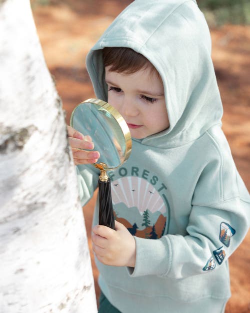 Shop Deux Par Deux Boy's Hooded Fleece Sweatshirt With Print Sage In Jadeite