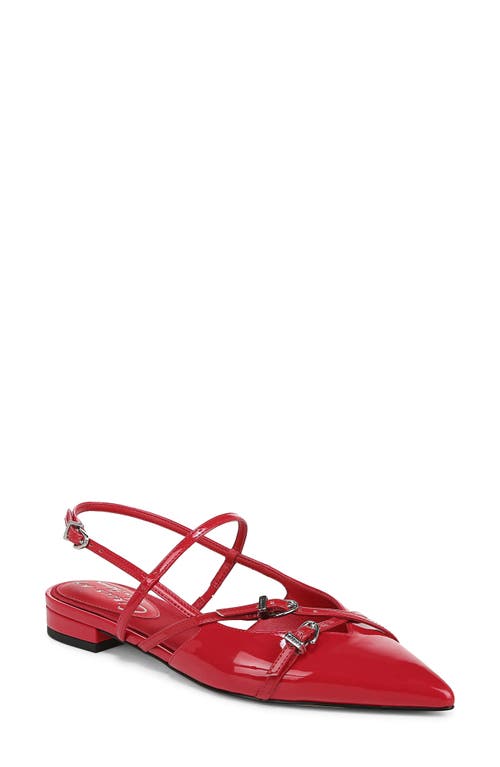 Circus NY by Sam Edelman Lindley Pointed Toe Slingback Sandal Riviera Red at Nordstrom,