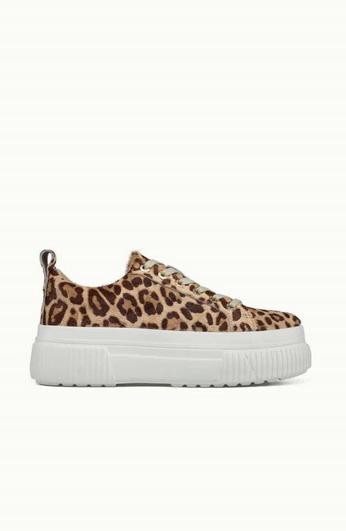 Jslides Footwear West Sneaker In Leopard