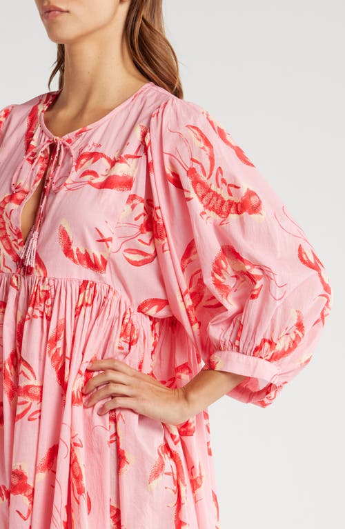 Shop Farm Rio Lobster Print Cover-up Dress In Lobsters Pink