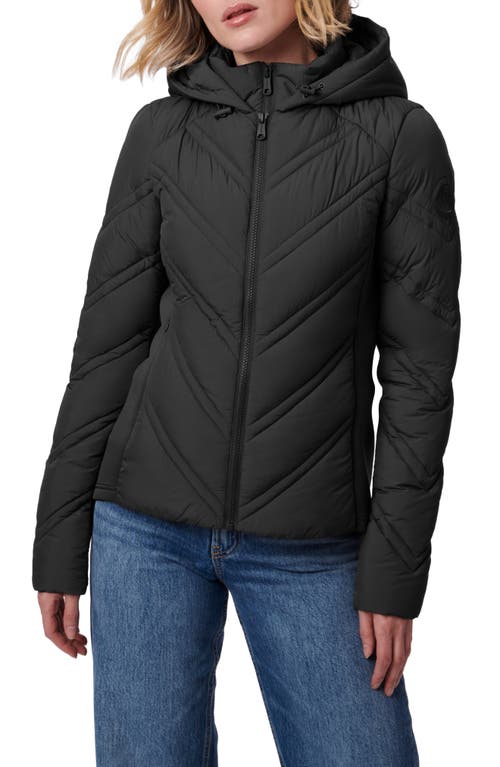 Shop Bernardo Hooded Puffer Jacket With Bib In Black