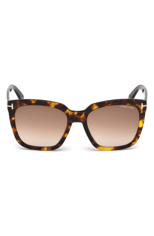 TOM FORD Amarra 55mm Gradient Lens Square Sunglasses in Havana/Gradient Brown at Nordstrom