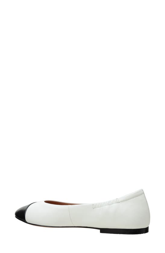 Linea Paolo Nolan Cap Toe Ballet Flat In Eggshell/black