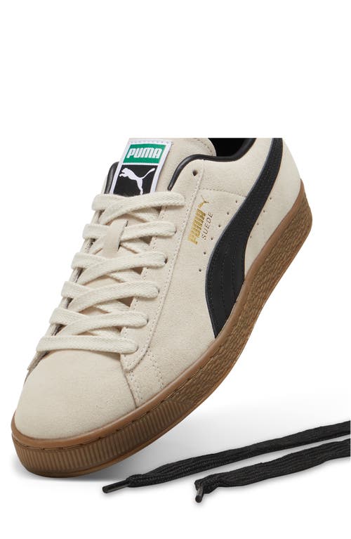 Shop Puma Suede Terrace Sneaker In Alpine Snow-gum