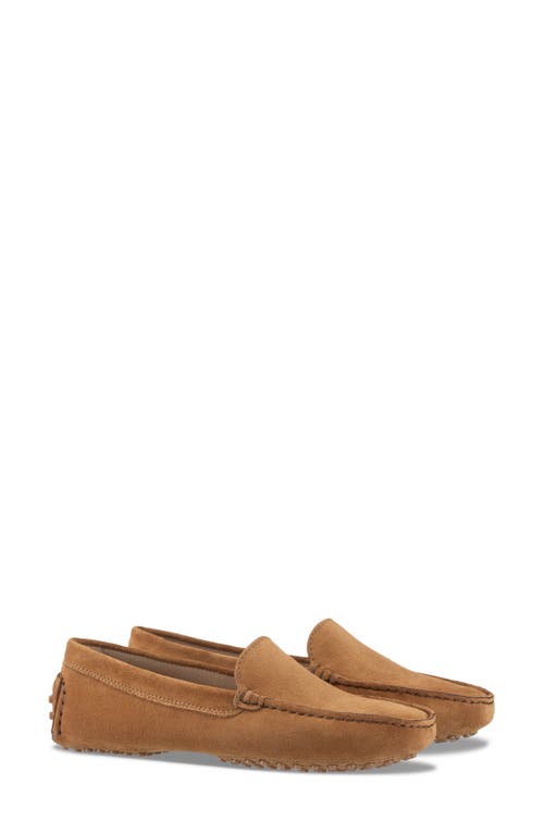 Koio Pavia Driving Loafer in Nutmeg