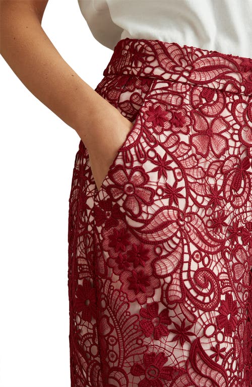 Shop Reiss Flo Lace Midi Skirt In Burgundy