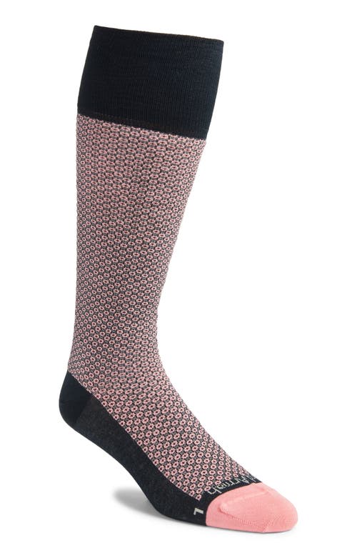 Neat Tall Compression Dress Socks in Navy/pink