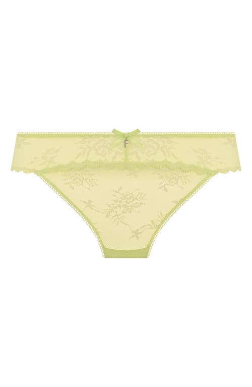 FREYA FREYA OFFBEAT DECADENCE GALLOON LACE BRIEFS 