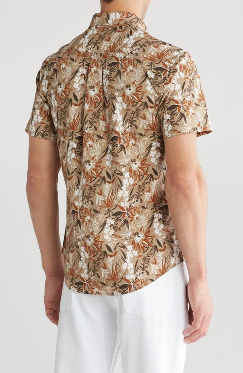 Shop 14th & Union Trpical Mix Short Sleeve Stretch Cotton Button-up Shirt In Tan Tropical Mix