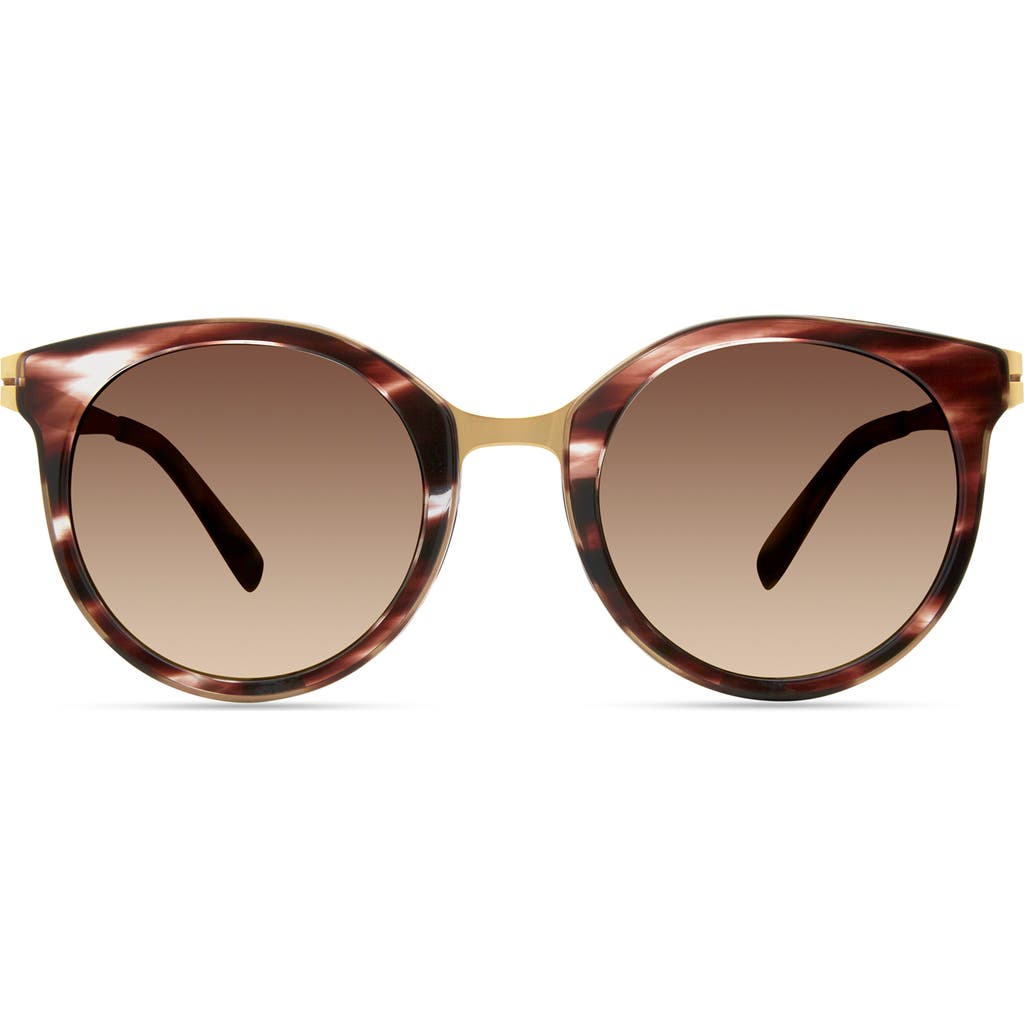 Modo 456 Sunglasses In Shadow Tortoise