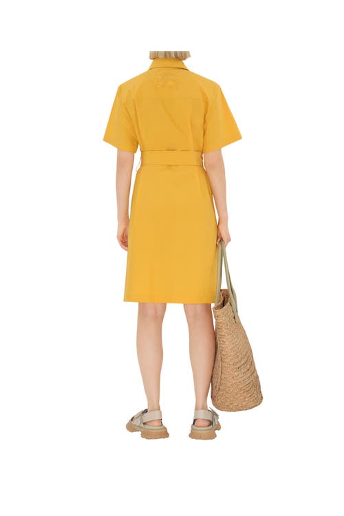 Shop Burberry Cotton Blend Shirt Dress In Sunflower