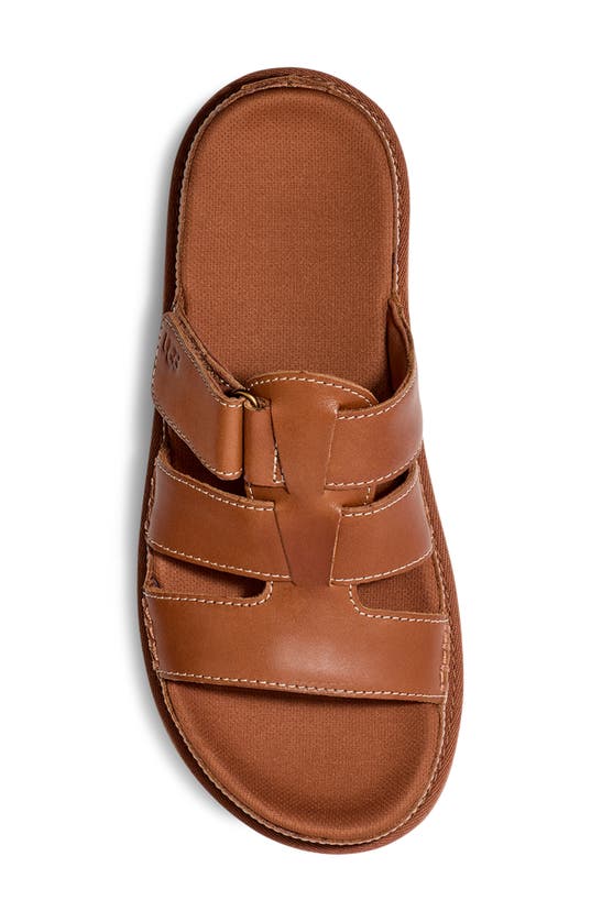 Shop Ugg (r) Goldenstar Slide Sandal In Tan
