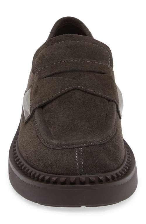 Ash Medusa Loafers In Gunmetal Suede In Bistro