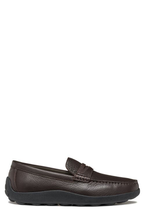 Shop Geox Spherica Penny Loafer In Coffee