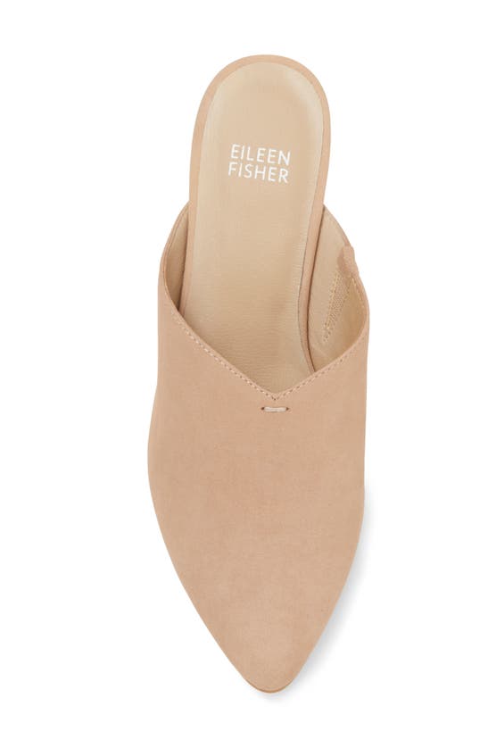 Shop Eileen Fisher Jive Pointed Toe Mule In Barley