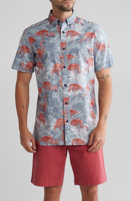 14th & Union Flamingos Short Sleeve Button-down Shirt In Blue- Red Flamingo