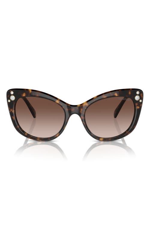 Swarovski 55mm Cat Eye Sunglasses in Havana 