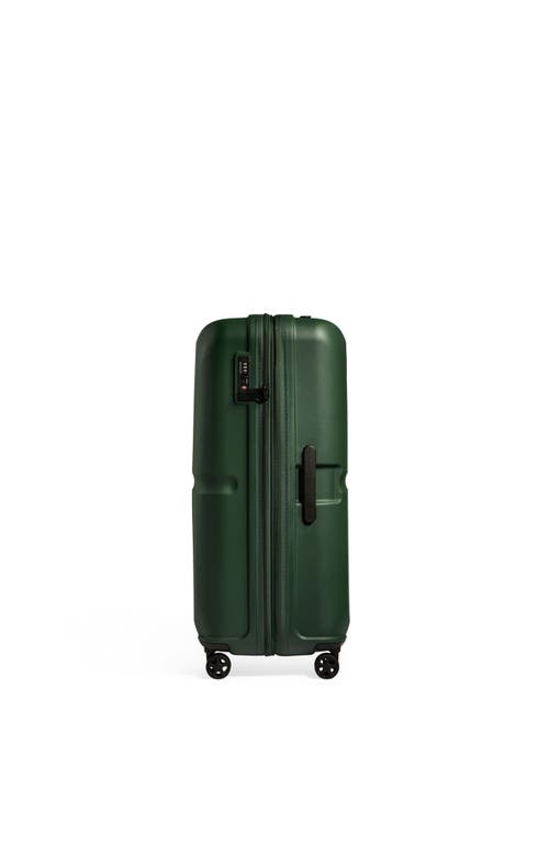 Antler Single Stripe Large In Green