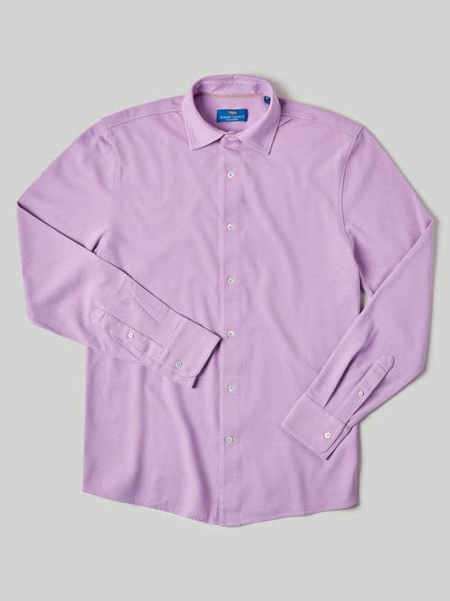 Shop Robert Talbott Foster Long Sleeve Knit Shirt In Lavender