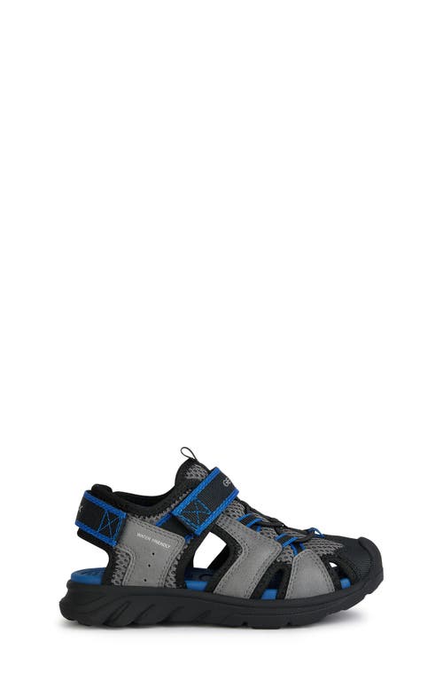 Shop Geox Airadyum Water Friendly Sandal In Dark Grey/royal